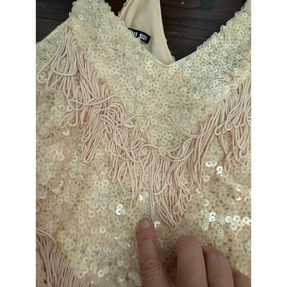 Gianni Bini Maritza Sequin and Fringe Pink Dress XS - Picture 10 of 14